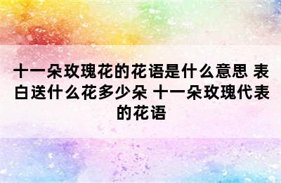 十一朵玫瑰花的花语是什么意思 表白送什么花多少朵 十一朵玫瑰代表的花语